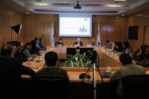 foto 01
