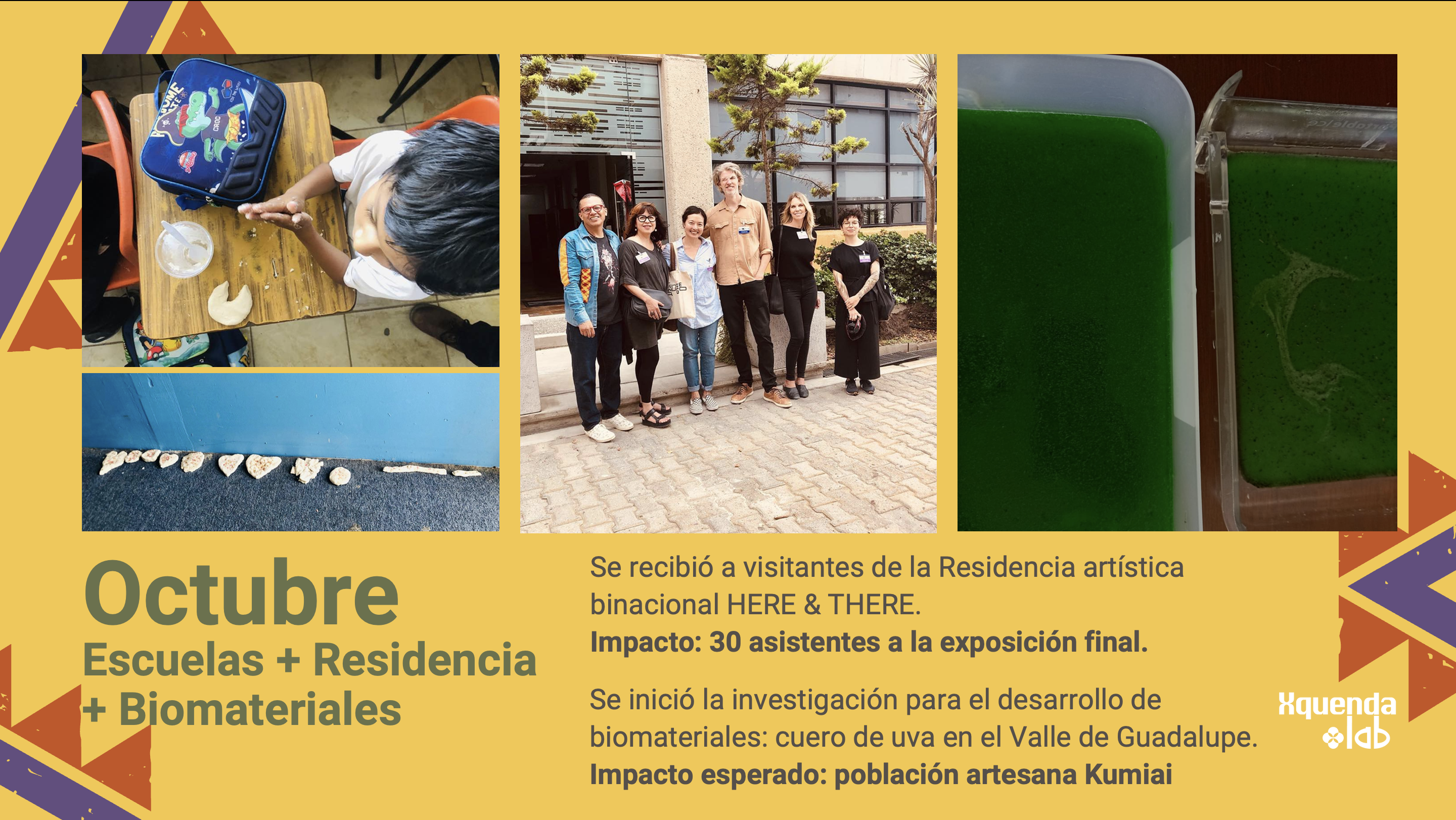 Descripción de la imagen 11